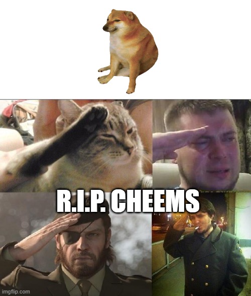 Ozon's Salute | R.I.P. CHEEMS | image tagged in ozon's salute | made w/ Imgflip meme maker