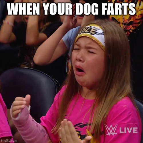 Dog farts | WHEN YOUR DOG FARTS | image tagged in the big cry | made w/ Imgflip meme maker