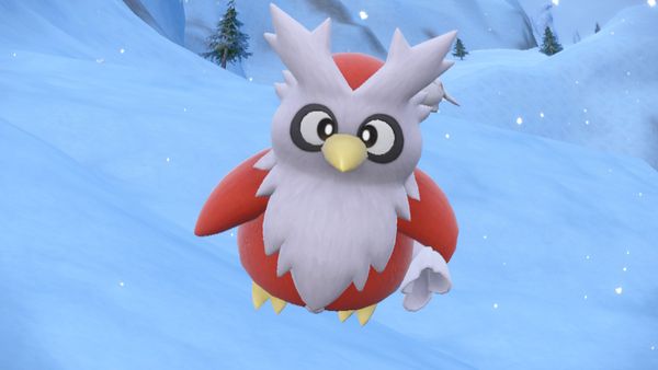 thick delibird Blank Meme Template