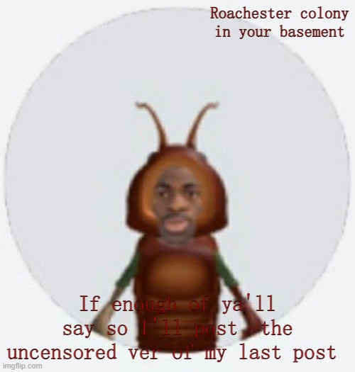 Specifically mods ofc (No one needs to be uncomfy mkay) | Roachester colony in your basement; If enough of ya'll say so I'll post  the uncensored ver of my last post | image tagged in lil naz roach-x announcement temp | made w/ Imgflip meme maker