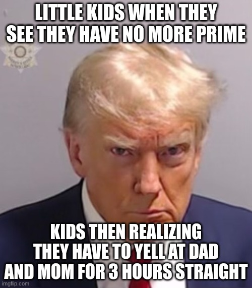 bro | LITTLE KIDS WHEN THEY SEE THEY HAVE NO MORE PRIME; KIDS THEN REALIZING THEY HAVE TO YELL AT DAD AND MOM FOR 3 HOURS STRAIGHT | image tagged in donald trump mugshot | made w/ Imgflip meme maker