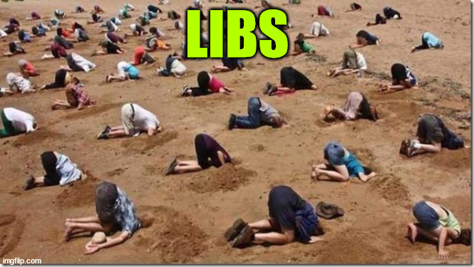 Head in sand | LIBS | image tagged in head in sand | made w/ Imgflip meme maker