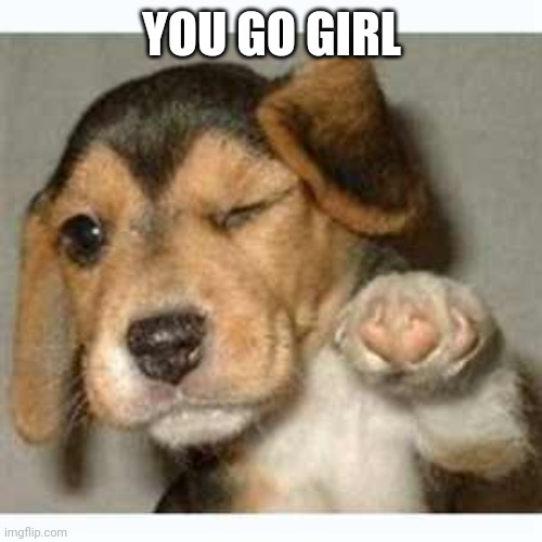 Fist bump puppy  | YOU GO GIRL | image tagged in fist bump puppy | made w/ Imgflip meme maker