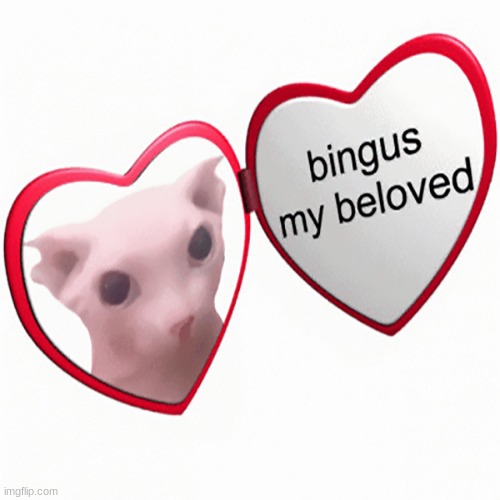 #3 | image tagged in bingus my beloved | made w/ Imgflip meme maker