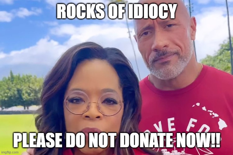 Maui Burns, and these two are asking for Donations. LOL | ROCKS OF IDIOCY; PLEASE DO NOT DONATE NOW!! | image tagged in maui,burning,hawaii,donations,democrats,the rock | made w/ Imgflip meme maker