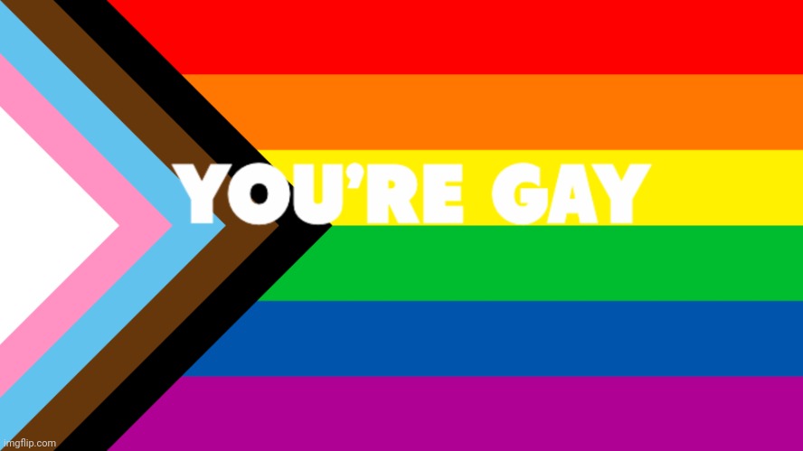 YOURE GAY MEME | image tagged in youre gay meme | made w/ Imgflip meme maker