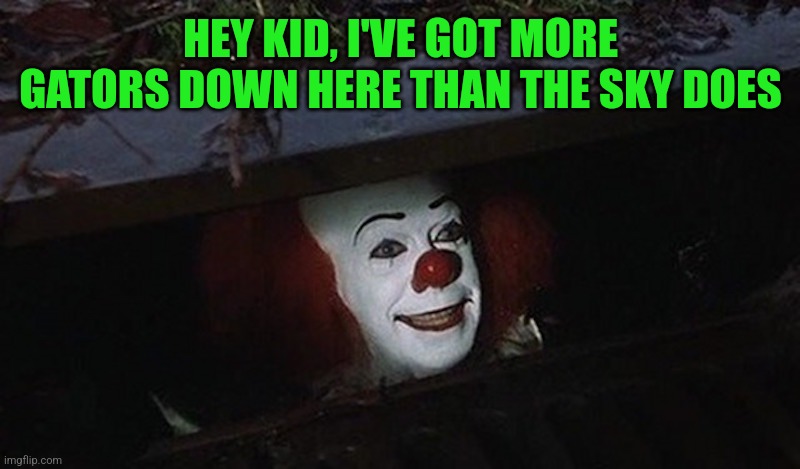 Pennywise Hey Kid | HEY KID, I'VE GOT MORE GATORS DOWN HERE THAN THE SKY DOES | image tagged in pennywise hey kid | made w/ Imgflip meme maker