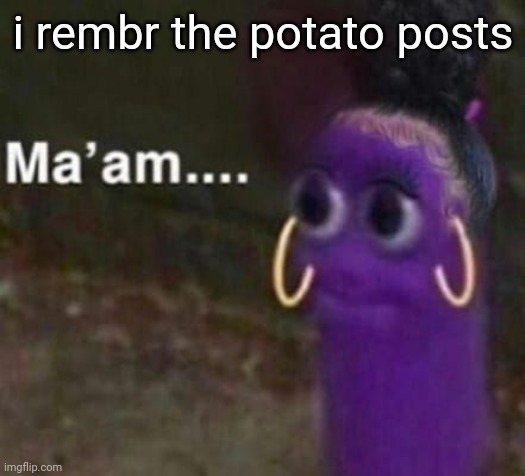 and maple holy shit | i rembr the potato posts | image tagged in maam | made w/ Imgflip meme maker