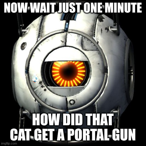 portal 2 logic | NOW WAIT JUST ONE MINUTE HOW DID THAT CAT GET A PORTAL GUN | image tagged in portal 2 logic | made w/ Imgflip meme maker