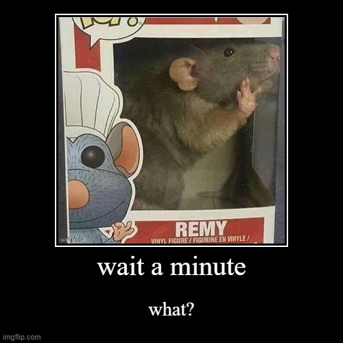wait a minute | what? | image tagged in funny,demotivationals | made w/ Imgflip demotivational maker