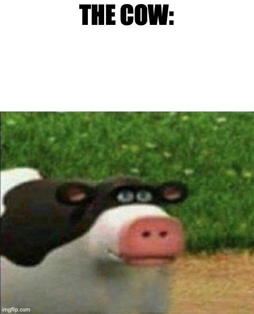 Perhaps cow | THE COW: | image tagged in perhaps cow | made w/ Imgflip meme maker