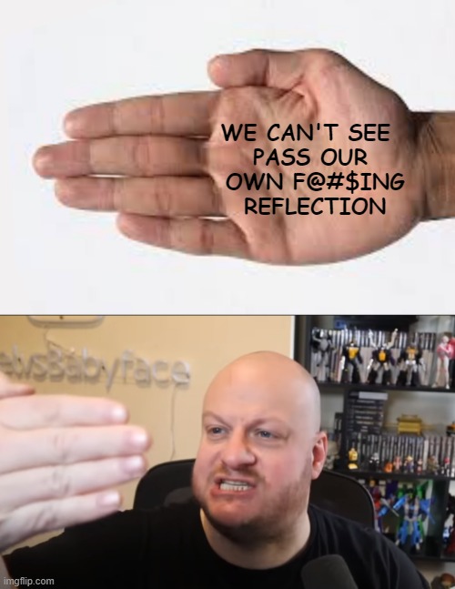 Very Smort | WE CAN'T SEE 
PASS OUR
 OWN F@#$ING
 REFLECTION | image tagged in gaming,pc gaming,online gaming,rage,funny,funny memes | made w/ Imgflip meme maker