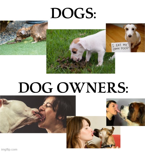 Dog nutters | image tagged in funny memes | made w/ Imgflip meme maker