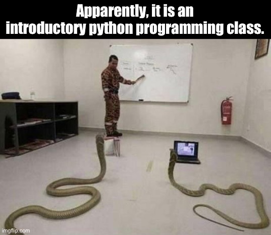 Python | Apparently, it is an introductory python programming class. | image tagged in dad joke | made w/ Imgflip meme maker