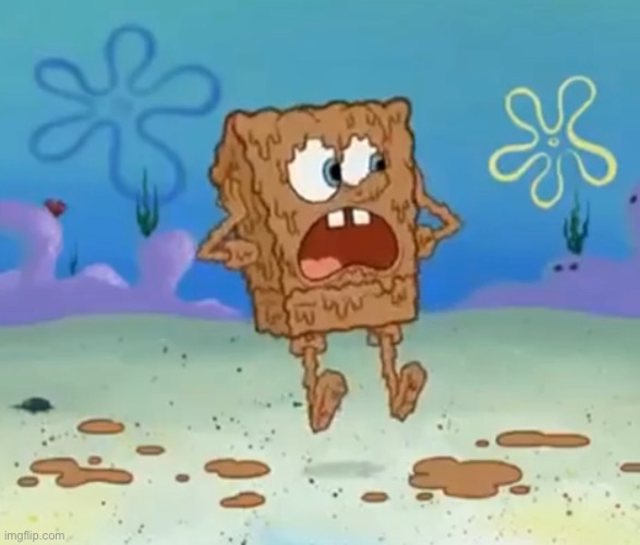 High Quality Shitbob Blank Meme Template