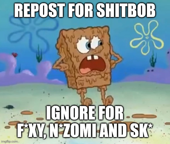 Shitbob | REPOST FOR SHITBOB; IGNORE FOR F*XY, N*ZOMI AND SK* | image tagged in shitbob | made w/ Imgflip meme maker