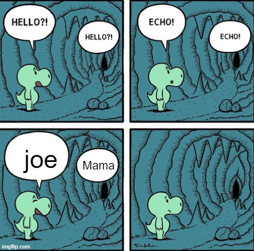 Ouch... | joe; Mama | image tagged in echo | made w/ Imgflip meme maker