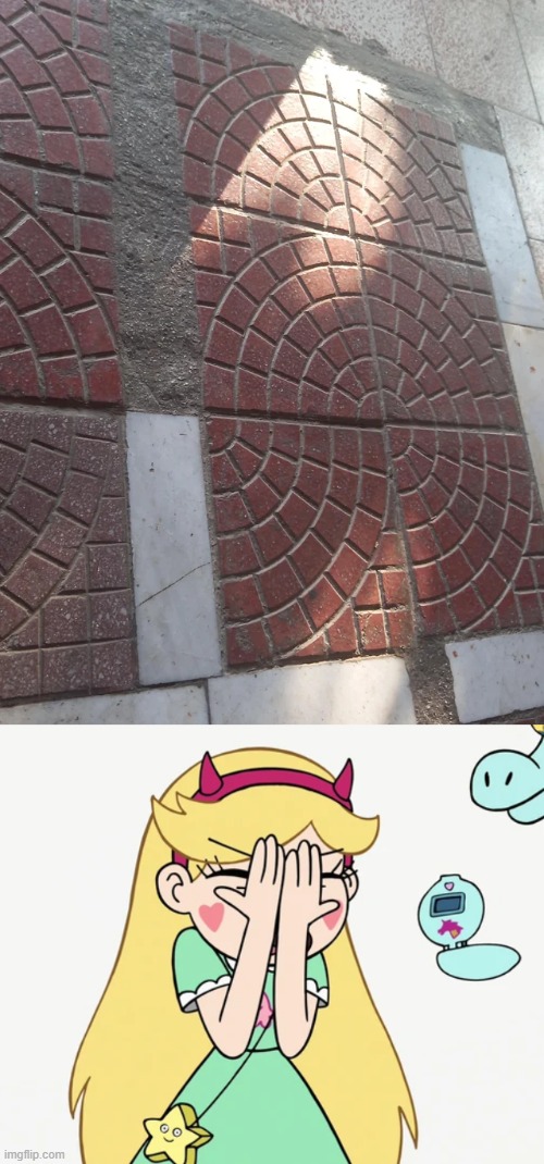 Why. | image tagged in star butterfly severe facepalm,you had one job,star vs the forces of evil,memes | made w/ Imgflip meme maker