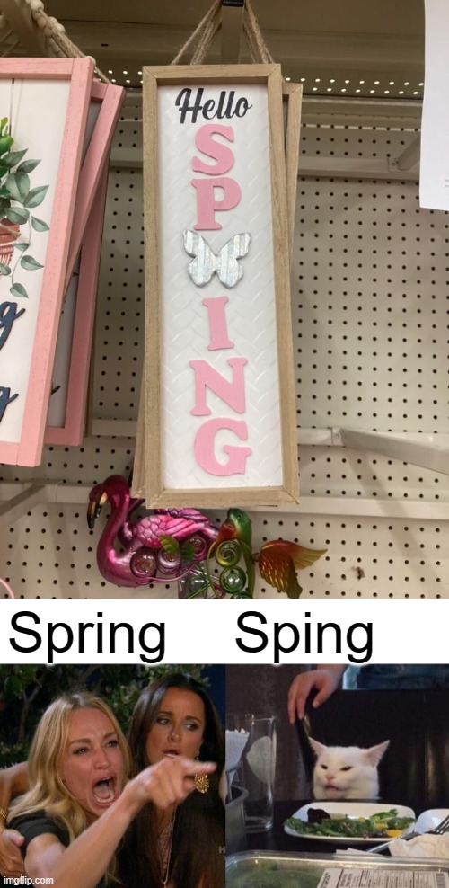 i love sping | Spring; Sping | image tagged in memes,woman yelling at cat,you had one job,funny,spring | made w/ Imgflip meme maker