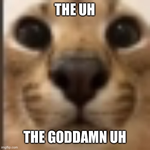 Whar | THE UH THE GODDAMN UH | image tagged in whar | made w/ Imgflip meme maker