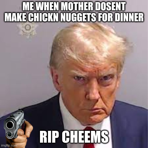 donald trumpet | ME WHEN MOTHER DOSENT MAKE CHICKN NUGGETS FOR DINNER; RIP CHEEMS | image tagged in donald trumpet | made w/ Imgflip meme maker