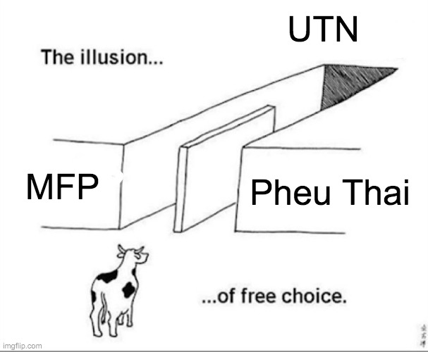 Thai Politics | UTN; MFP; Pheu Thai | image tagged in illusion of free choice | made w/ Imgflip meme maker