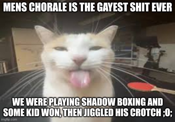 Cat | MENS CHORALE IS THE GAYEST SHIT EVER; WE WERE PLAYING SHADOW BOXING AND SOME KID WON, THEN JIGGLED HIS CROTCH ;O; | image tagged in cat | made w/ Imgflip meme maker