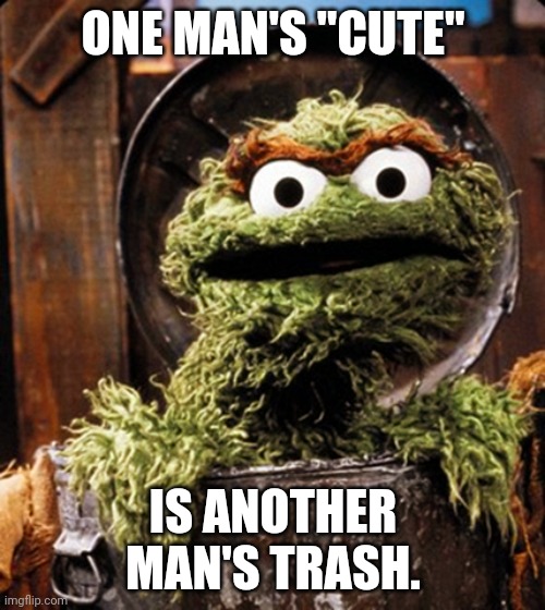 Oscar the grouch | ONE MAN'S "CUTE" IS ANOTHER MAN'S TRASH. | image tagged in oscar the grouch | made w/ Imgflip meme maker