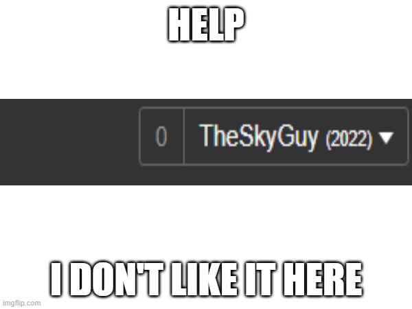 HELP; I DON'T LIKE IT HERE | image tagged in help,help me,2022,covid-19,covid,covid19 | made w/ Imgflip meme maker