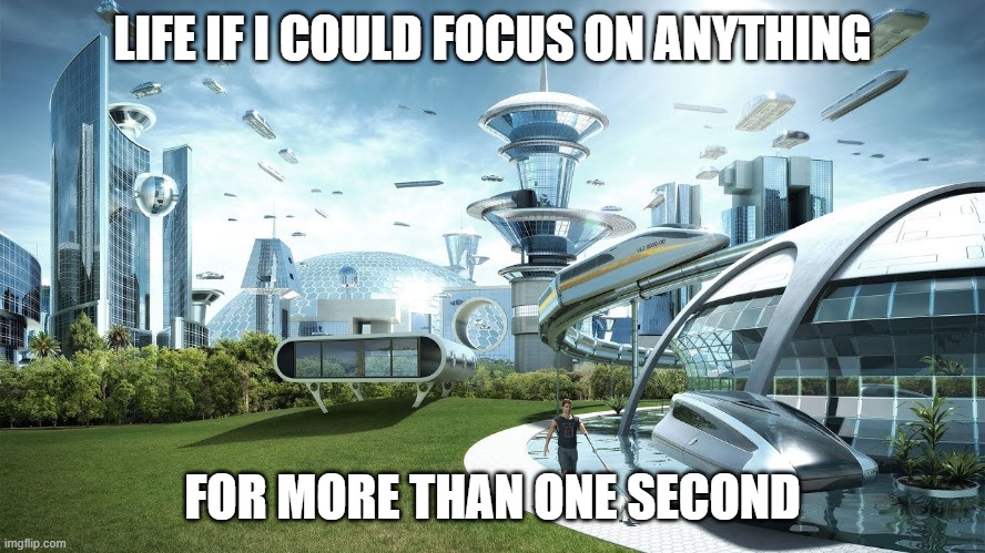 Life if | LIFE IF I COULD FOCUS ON ANYTHING; FOR MORE THAN ONE SECOND | image tagged in life if,memes,funny | made w/ Imgflip meme maker