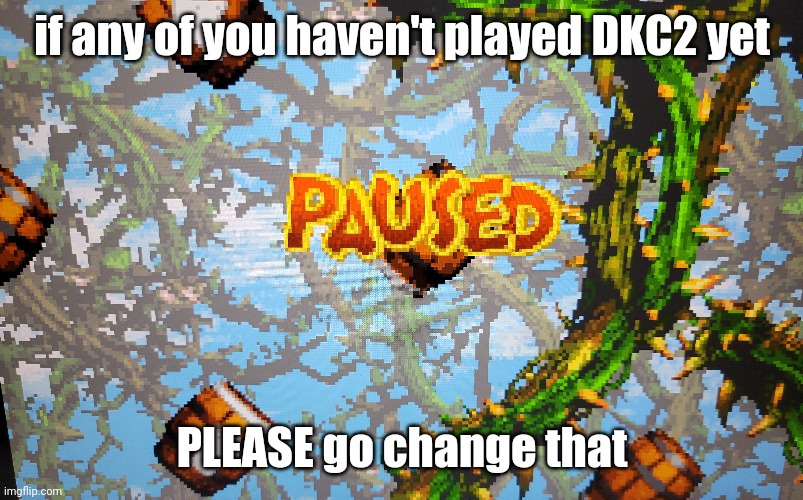 if any of you haven't played DKC2 yet; PLEASE go change that | made w/ Imgflip meme maker