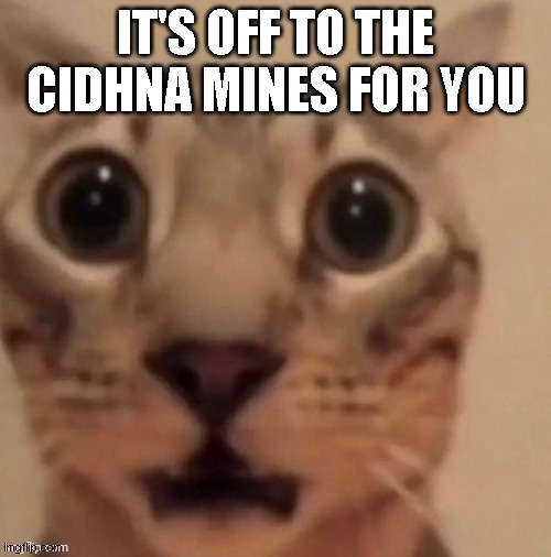 IT'S OFF TO THE CIDHNA MINES FOR YOU | made w/ Imgflip meme maker