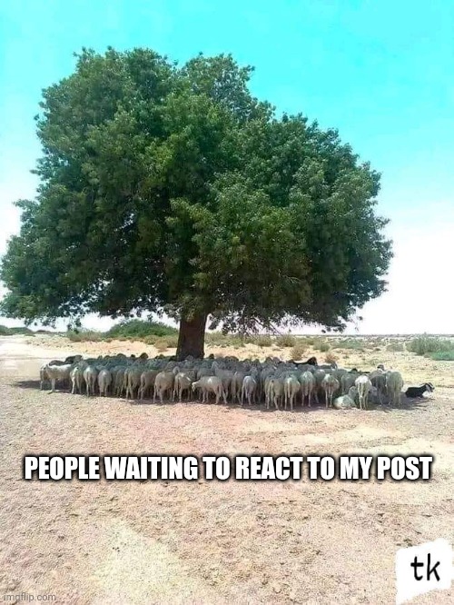 Waiting | PEOPLE WAITING TO REACT TO MY POST | image tagged in memes | made w/ Imgflip meme maker