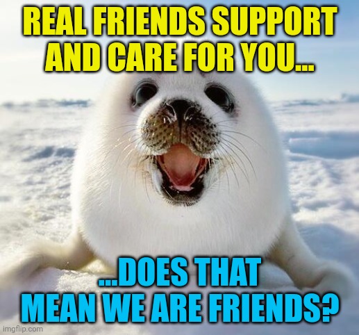 The Happy Seal | REAL FRIENDS SUPPORT AND CARE FOR YOU... ...DOES THAT MEAN WE ARE FRIENDS? | image tagged in the happy seal | made w/ Imgflip meme maker