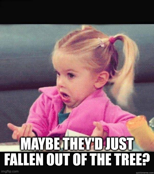 I dont know girl | MAYBE THEY'D JUST FALLEN OUT OF THE TREE? | image tagged in i dont know girl | made w/ Imgflip meme maker