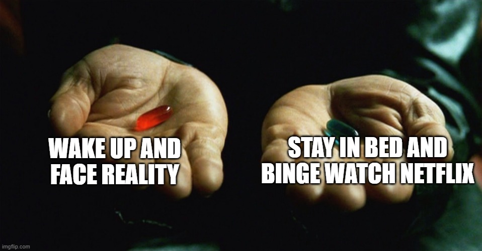 :) | STAY IN BED AND BINGE WATCH NETFLIX; WAKE UP AND FACE REALITY | image tagged in red pill blue pill | made w/ Imgflip meme maker