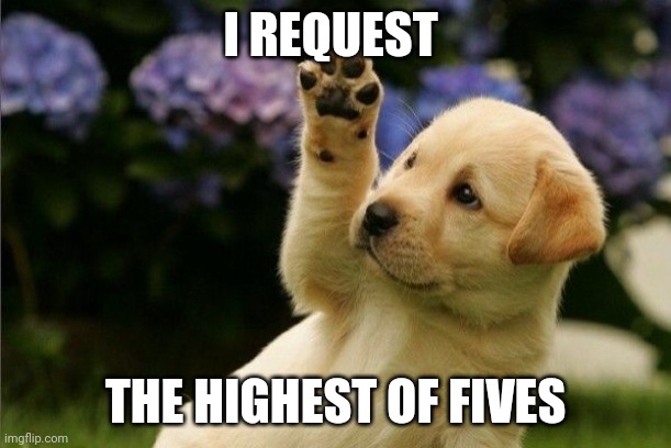 The highest of fives | I REQUEST; THE HIGHEST OF FIVES | image tagged in dog,puppy,aww,cute,memes | made w/ Imgflip meme maker