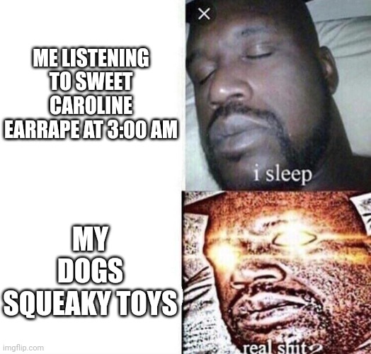 Actually just did this at 3 am | ME LISTENING TO SWEET CAROLINE EARRAPE AT 3:00 AM; MY DOGS SQUEAKY TOYS | image tagged in i sleep real shit | made w/ Imgflip meme maker