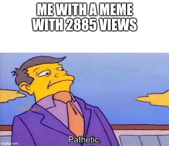 Pathetic | ME WITH A MEME WITH 2885 VIEWS | image tagged in pathetic | made w/ Imgflip meme maker