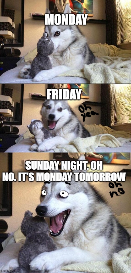 monday, friday, sunday night | MONDAY; FRIDAY; SUNDAY NIGHT. OH NO. IT'S MONDAY TOMORROW | image tagged in memes,bad pun dog | made w/ Imgflip meme maker