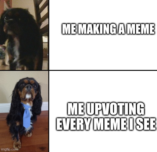 i made template thats my dog :)))))))) | ME MAKING A MEME; ME UPVOTING EVERY MEME I SEE | image tagged in charlie | made w/ Imgflip meme maker