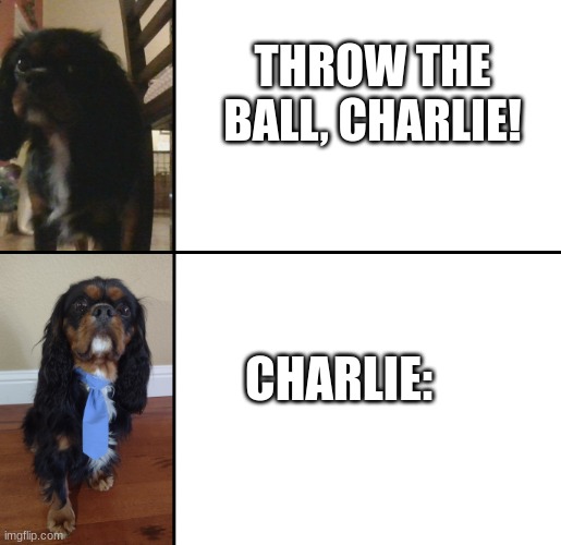 i gave ai my template and told it, "dog". why's this so funny tho | THROW THE BALL, CHARLIE! CHARLIE: | image tagged in charlie | made w/ Imgflip meme maker