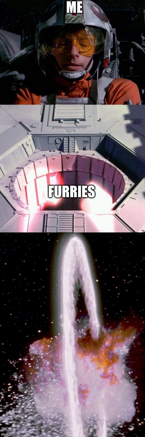 trench run victory | ME; FURRIES | image tagged in trench run victory | made w/ Imgflip meme maker