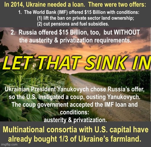 LET THAT SINK IN | LET THAT SINK IN | image tagged in ukraine_maidan_2014_imf_loan_rus | made w/ Imgflip meme maker