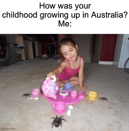 100% true | How was your childhood growing up in Australia?
Me: | image tagged in memes,stupid | made w/ Imgflip meme maker