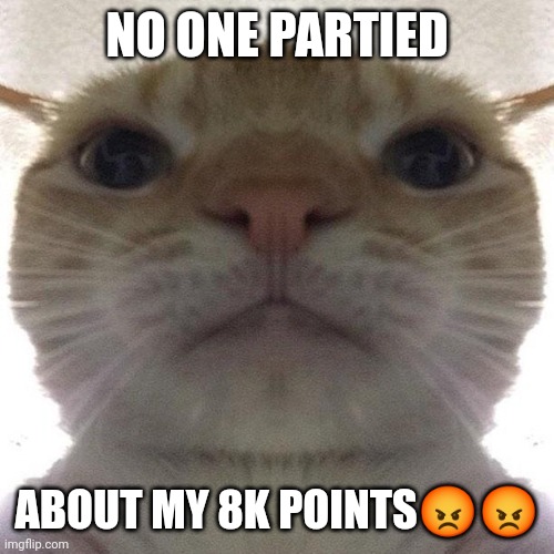 Staring Cat/Gusic | NO ONE PARTIED; ABOUT MY 8K POINTS😡😡 | image tagged in staring cat/gusic | made w/ Imgflip meme maker