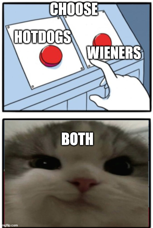 BOTHHHHHH | CHOOSE; HOTDOGS                                                       WIENERS; BOTH | image tagged in funny,meme,hotdog,wiener,two buttons | made w/ Imgflip meme maker