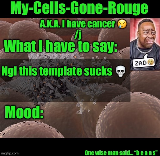 My-Cells-Gone-Rouge announcement | Ngl this template sucks 💀 | image tagged in my-cells-gone-rouge announcement | made w/ Imgflip meme maker