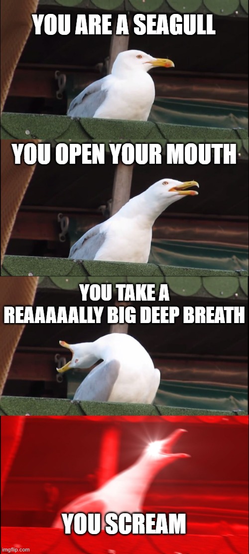 Inhaling Seagull | YOU ARE A SEAGULL; YOU OPEN YOUR MOUTH; YOU TAKE A REAAAAALLY BIG DEEP BREATH; YOU SCREAM | image tagged in memes,inhaling seagull | made w/ Imgflip meme maker