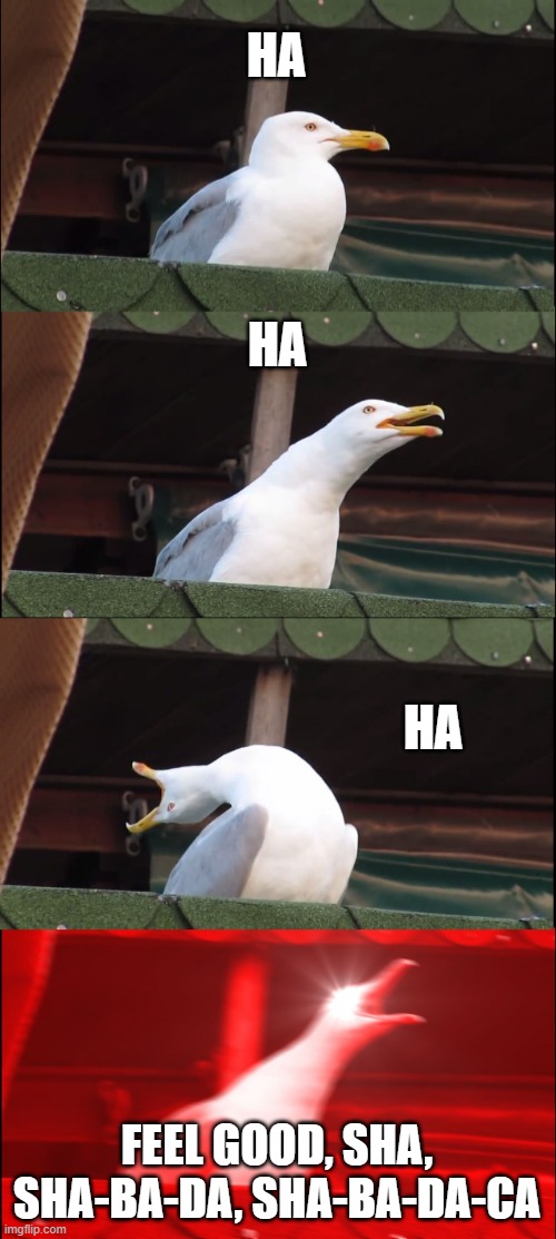 Gullrillaz | HA; HA; HA; FEEL GOOD, SHA, SHA-BA-DA, SHA-BA-DA-CA | image tagged in memes,inhaling seagull | made w/ Imgflip meme maker